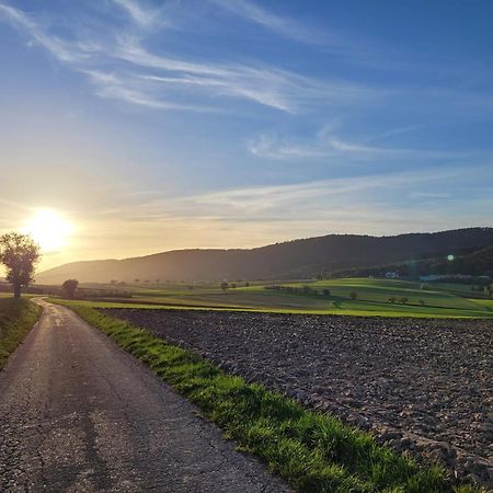 Romantik-Home Nordelsass - Ferienwohnung Fuer Selbstversorger Oberhoffen-les-Wissembourg エクステリア 写真