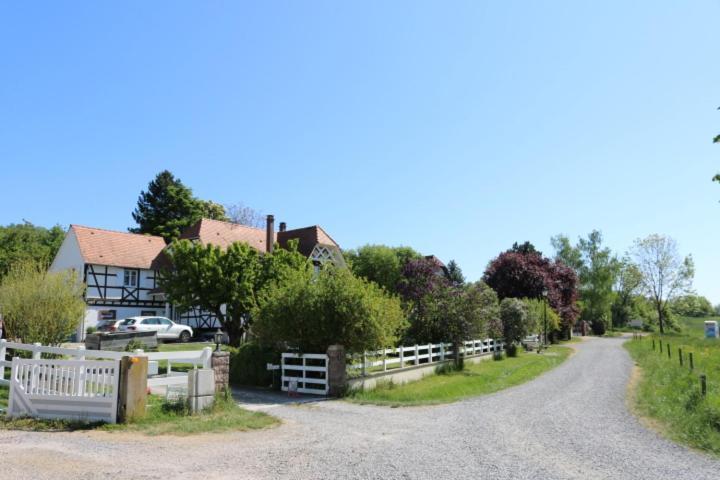 Romantik-Home Nordelsass - Ferienwohnung Fuer Selbstversorger Oberhoffen-les-Wissembourg エクステリア 写真
