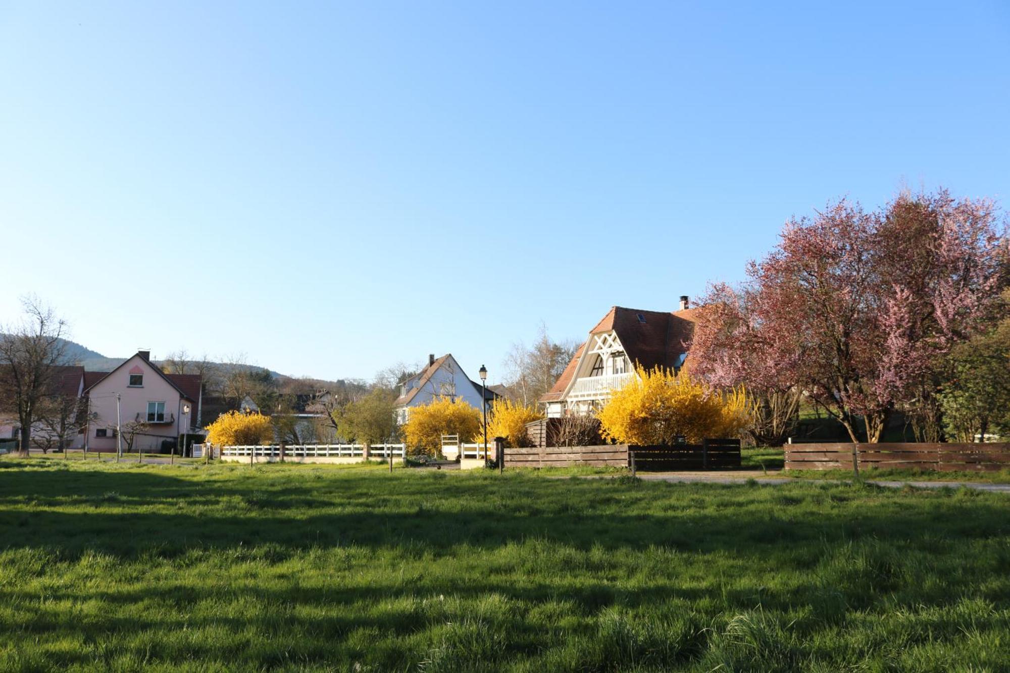 Romantik-Home Nordelsass - Ferienwohnung Fuer Selbstversorger Oberhoffen-les-Wissembourg エクステリア 写真